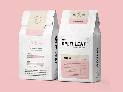 Download Packaging Mockup Designs Themes Templates And Downloadable Graphic Elements On Dribbble PSD Mockup Templates