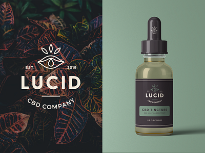 Download Cbd Mockup Designs Themes Templates And Downloadable Graphic Elements On Dribbble