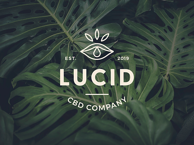 Lucid CBD Logo badge logo brand brand identity branding cbd cbd branding cbd logo cbd oil hemp logo logo design lucid minimal modern monoline