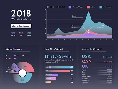 Website Analytics Data Visualization analytics brand identity branding data data visualisation infograph infographics information information design information technology