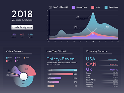 Website Analytics Data Visualization