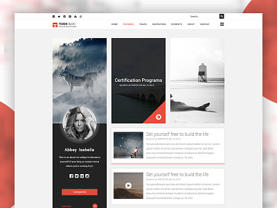 Tozen Homepage 01 blog clean design home personal personal blog ui wordpress