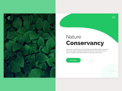 Nature Conservancy 2018 clean creative design minimal nature ui ux web website