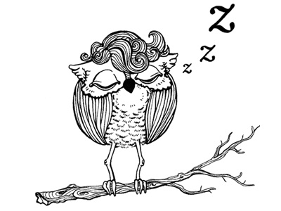 Nap Owl illustration poster