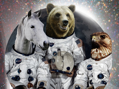Space Animals