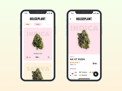 Houseplant  - eCommerce Mobile App