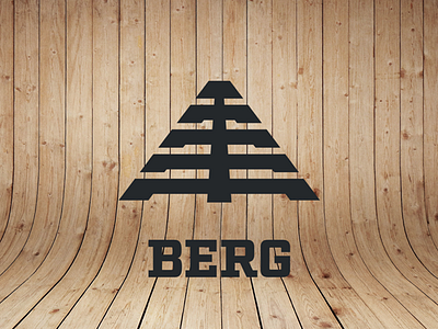 Berg Outdoor branding design identity logotype packaging rebrand