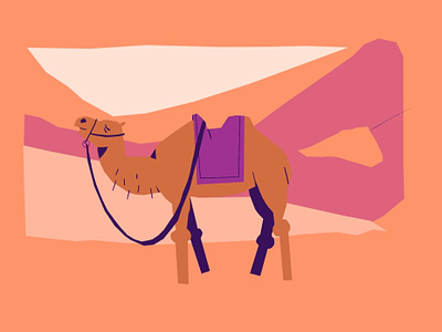 q8 camel character design illustration procreate