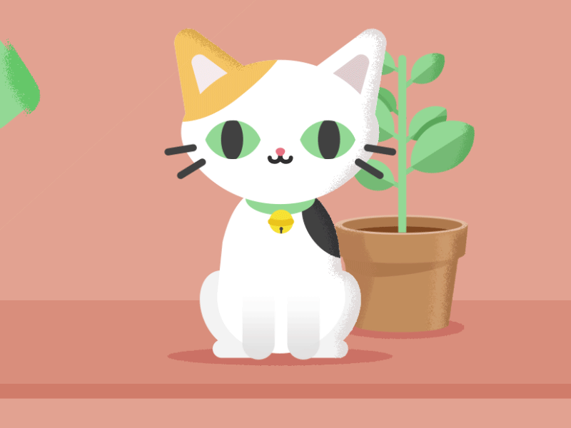 Bad kitten animated gif animation cat gif illustration motion graphics pink plant