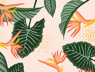 Kulia Skincare Floral Illustration branding floral hawaii illustration plants skincare tropical