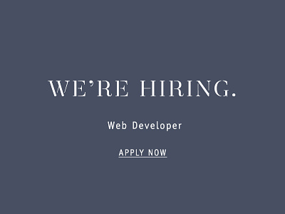 Web Developer back end branding developer front end full stack hiring jobs san francisco web design web developer