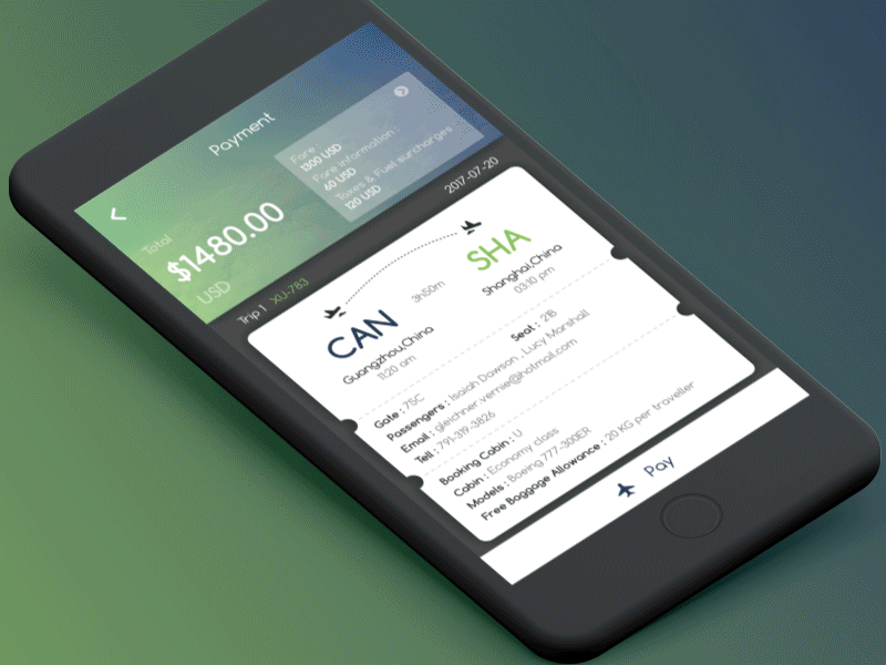 The plane took off airlines gif new plane ticket ui