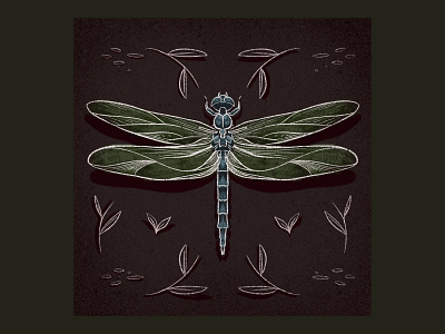 Bug 2 color dragon dragonfly flyer illustration insect pencil procreate
