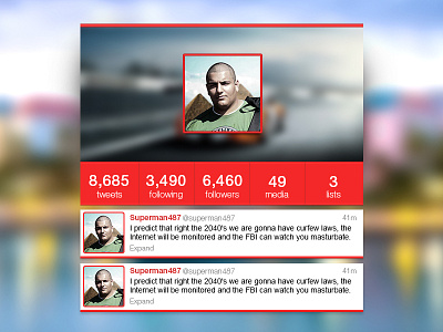 Twitter website profile account design flat interface profile red twitter web