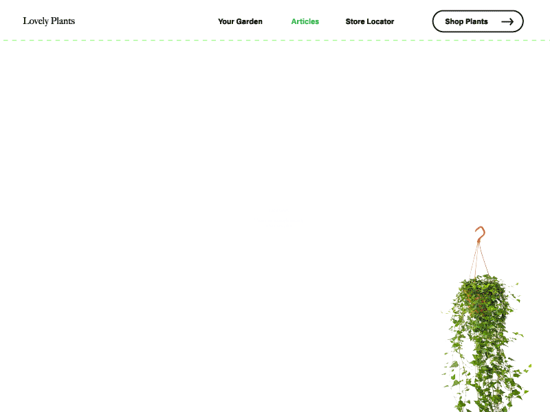 Lovely Plant Store 🌿 animation animation design animations design interactive interactive media landing page landing page design landingpage plant store plants scroll animation ui ux ux ui web web design webdesign website website design