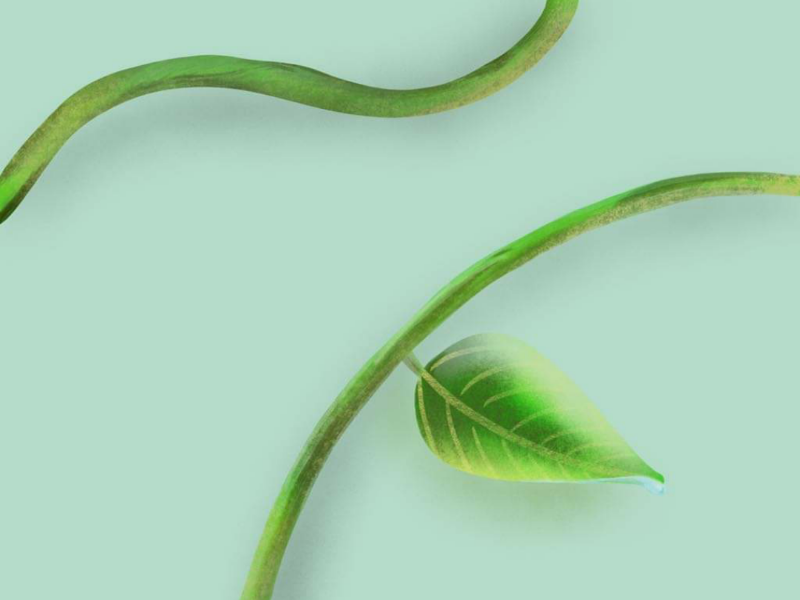 Illustrated Leaf 🌿 digital illustration natural nature leaves leaf illustration procreate