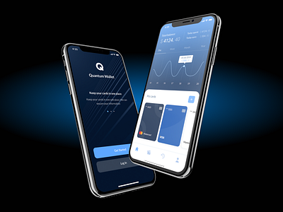 Quantum Wallet application banking cards interface login mobile app ui ux uxui