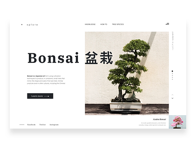 Bonsai | conceptual web design grid layout minimalism uidesign web web design