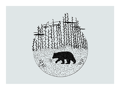 Spring Bear design draw illustration minimalism poster spring vector
