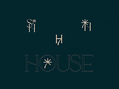 Seventh House – Unused Concepts II branding design graphic design illustration illustrator logo mark typography vector