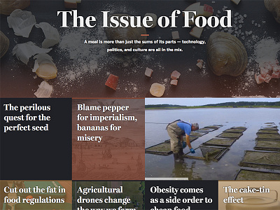 The Issue of Food editorial interactive