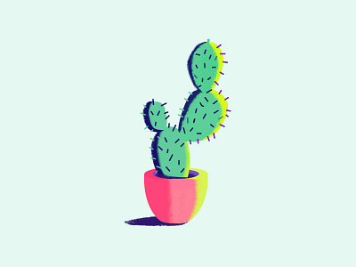 Cactus cactus illustration