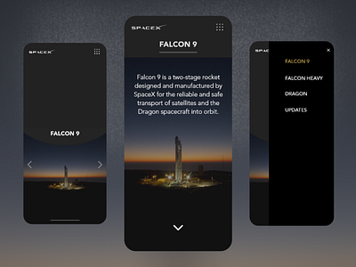 SpaceX Launch Hub design landing page ui ui design ux