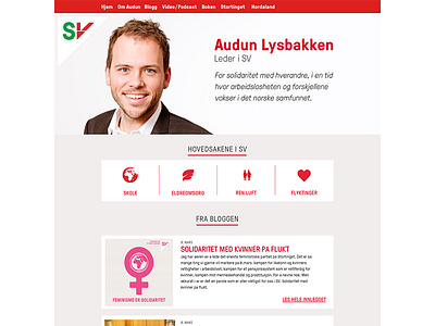 Website for Audun Lusbakken mockup political web website