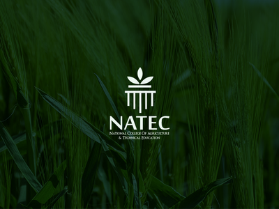 Nateco branding design logo typography