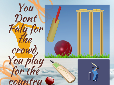 You play for the country cricket pakistan play sports sportsman