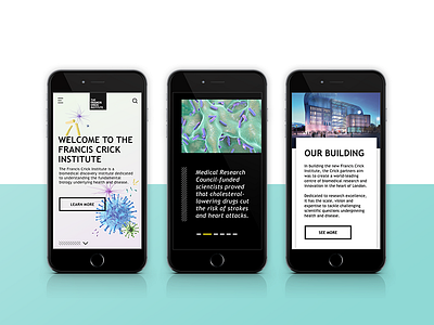 The Crick Home Page - Mobile biomedical bold design flat gradient home page institute mobile ui ux webdesign website