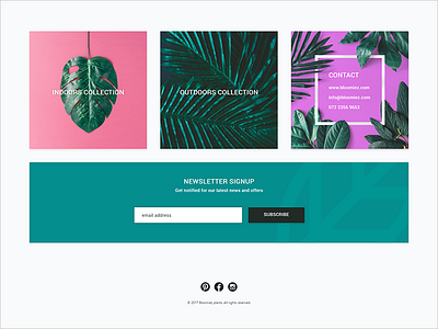 UI Cards cards collections flat floral leaves minimal subscribe ui web page website