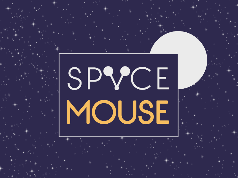 Space Mouse space mouse spacemouse 1 week brandom typehue
