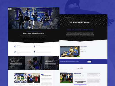 Maplezone Sports Institute web design web development website wordpress