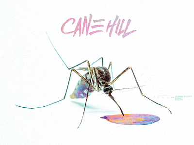 Cane Hill "Too Far Gone" album artwork cane hill cd packaging digipack hard rock heavy metal nu metal rise records