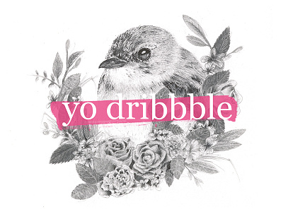 Yo Dribbble! birds illustration sketch