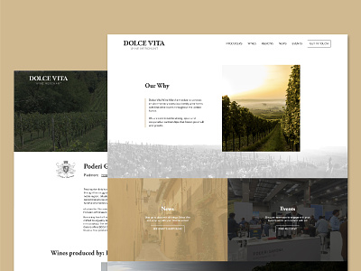 Dolce Vita Wine Merchant Website About Vineyard Section about about us clean elegant gold golden green greenery greens luxury minimal nature ui vineyard vineyards webdesign website website design wine winery