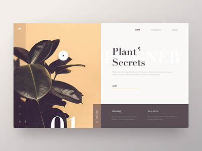 Plant Secrets Web design layout minimal plant retro web webdesign yellow