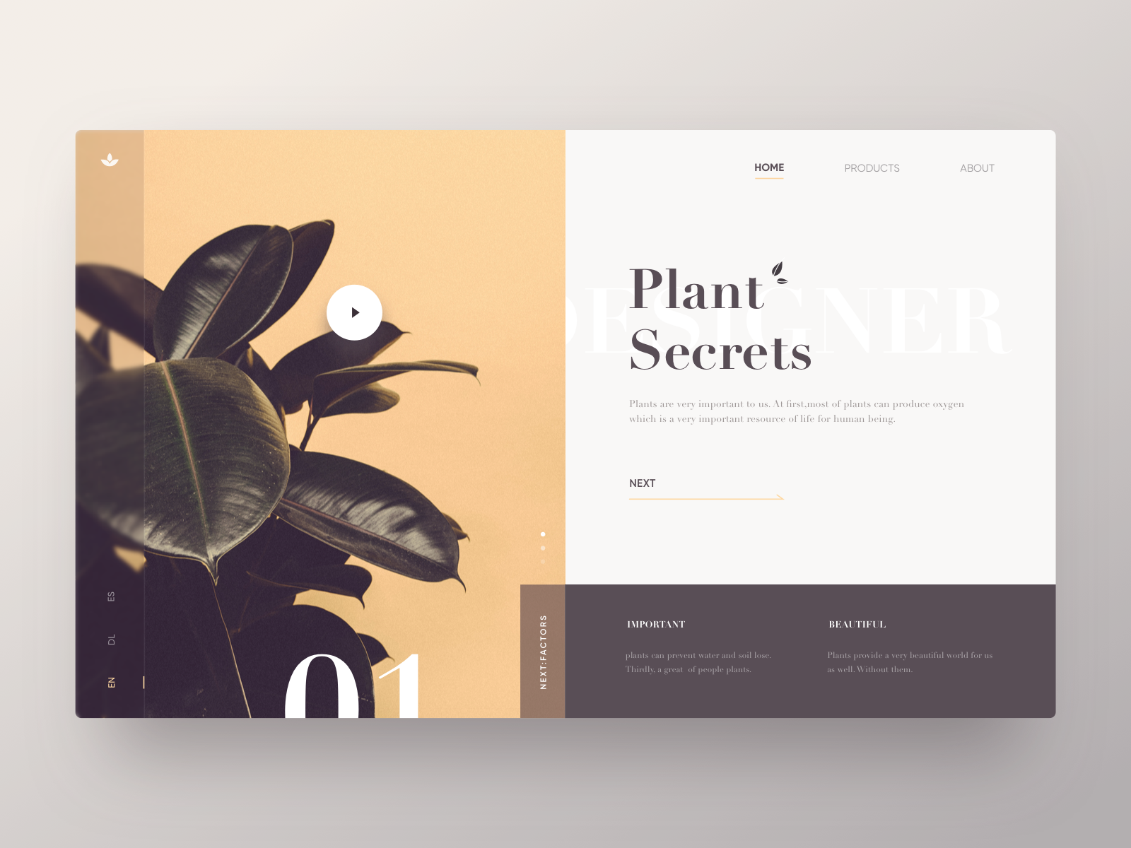 Dribbble - plant_secrets_web.png by Hippie Mao.