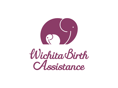 Wichita Birth Assistance