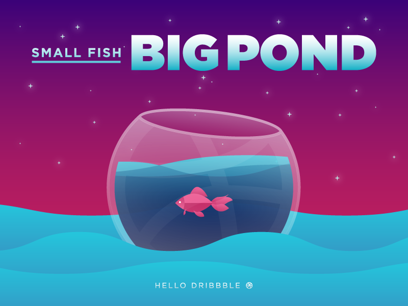 Small Fish Big Pond By Matt Leyland On Dribbble