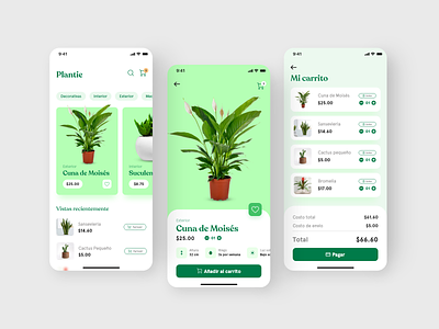 Platzi Challenge - E-commerce app for a house plant store app concept e commerce green leafs plants platzi store ui