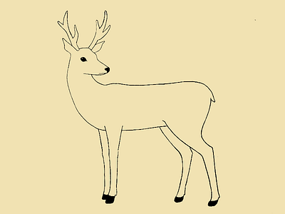 Deer animal deer drawing illustration