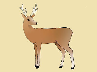 Deer (coloured in) animal deer illustration sketch