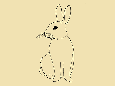 Rabbit animal bunny drawing illustration rabbit