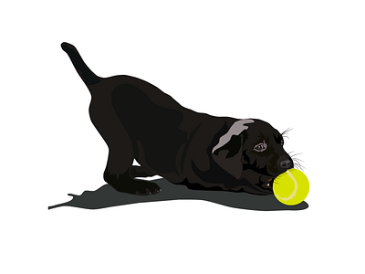 Labrador illustration design dog dog illustration illustration
