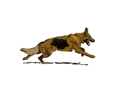 German Shepherd