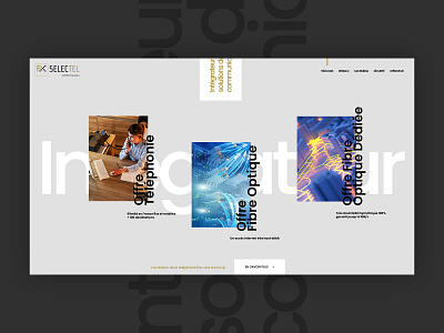 Selectel - Dedicated Optical Fiber branding design typography ui web