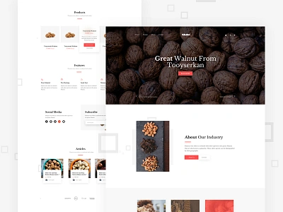 Walnut Shop design iran ui website