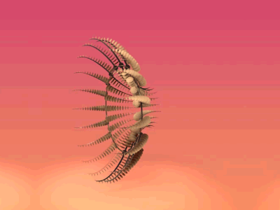 Infinite Octopus 3d c4d infinite kinetic loop metal motion motiongraphics sculpture wood